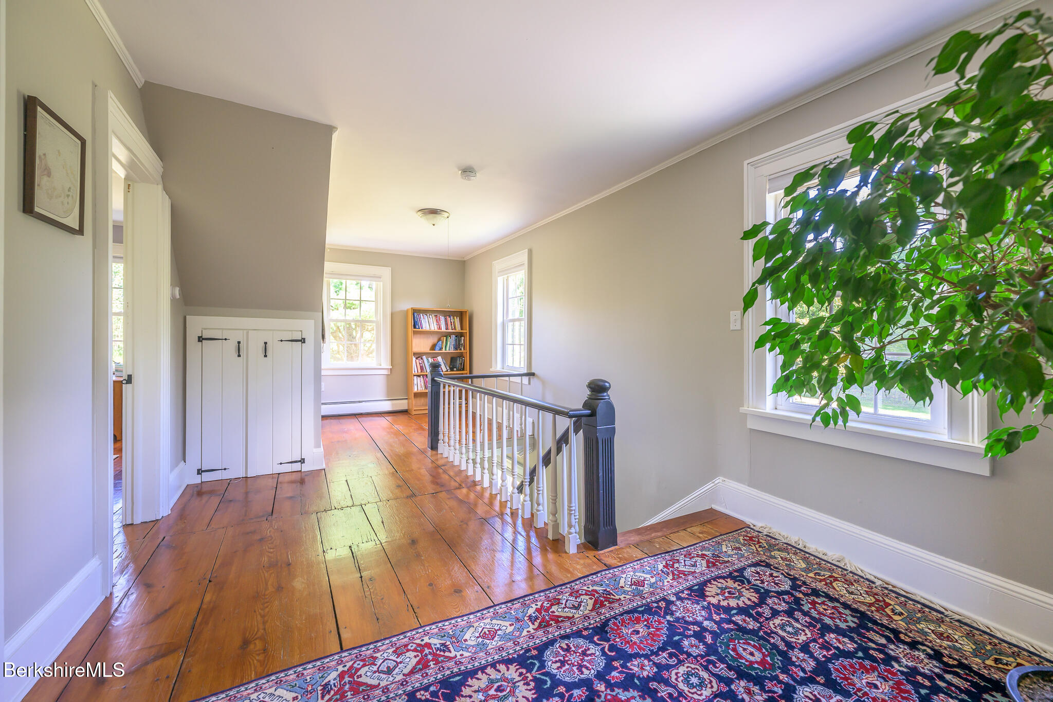 51 Albany Rd