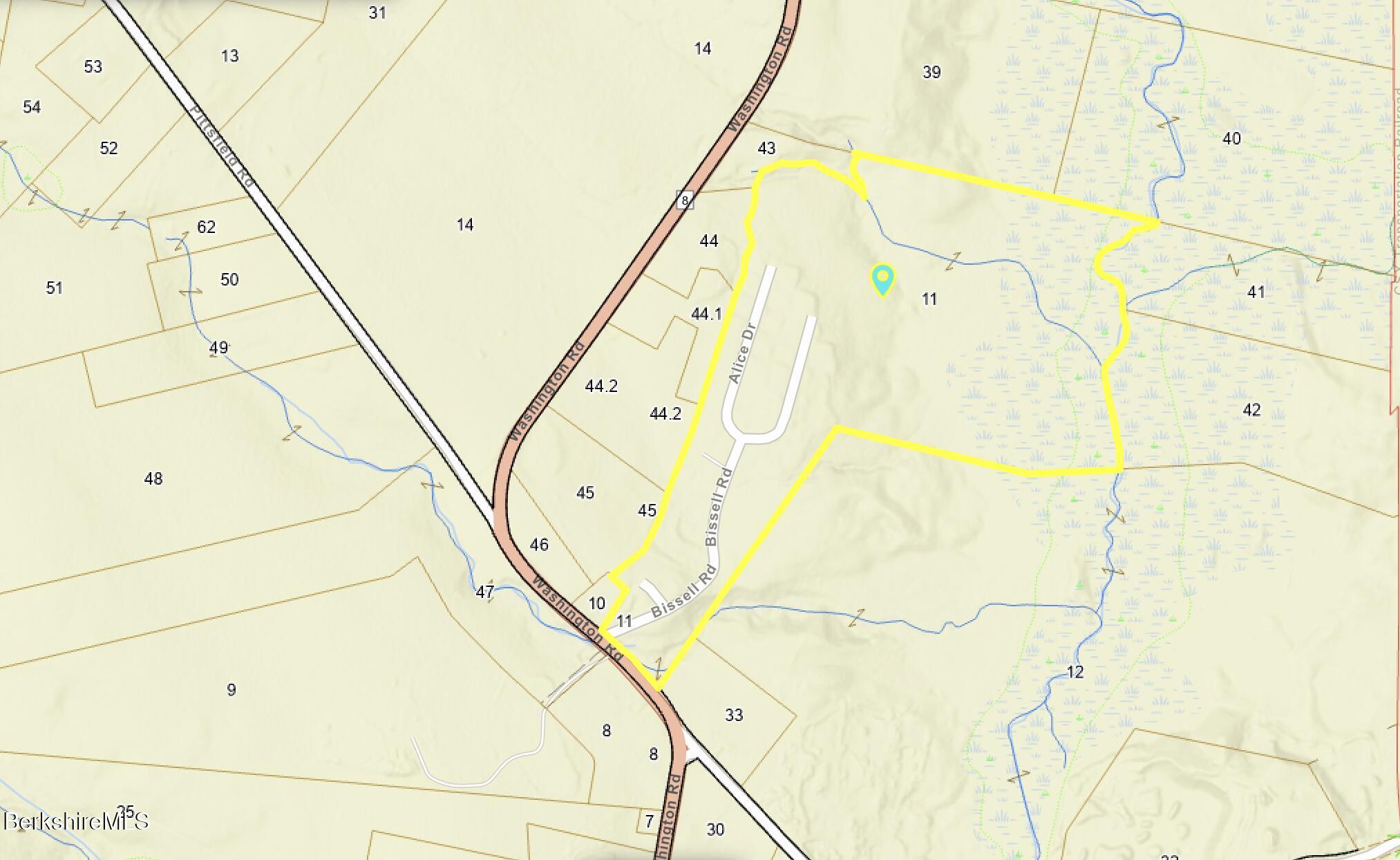 1109 Washington Rd, 10 on Alice Dr., Hinsdale Unit: 10 on Alice Dr.