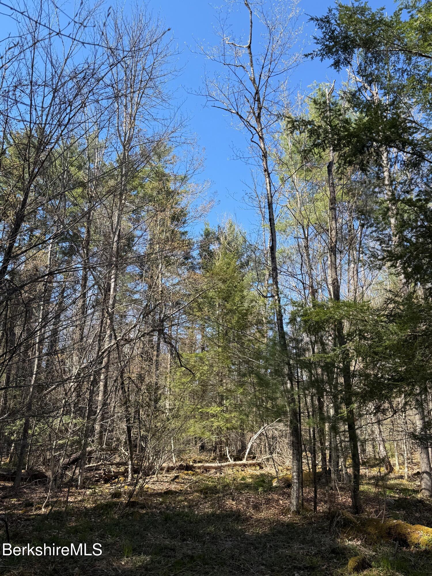 lot 8 Captain Whitney Rd