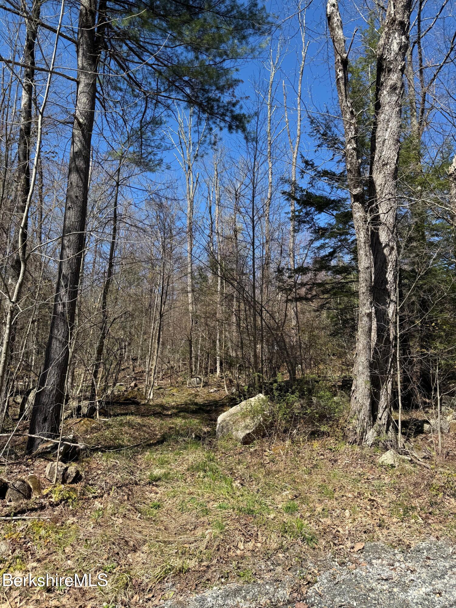 lot 8 Captain Whitney Rd