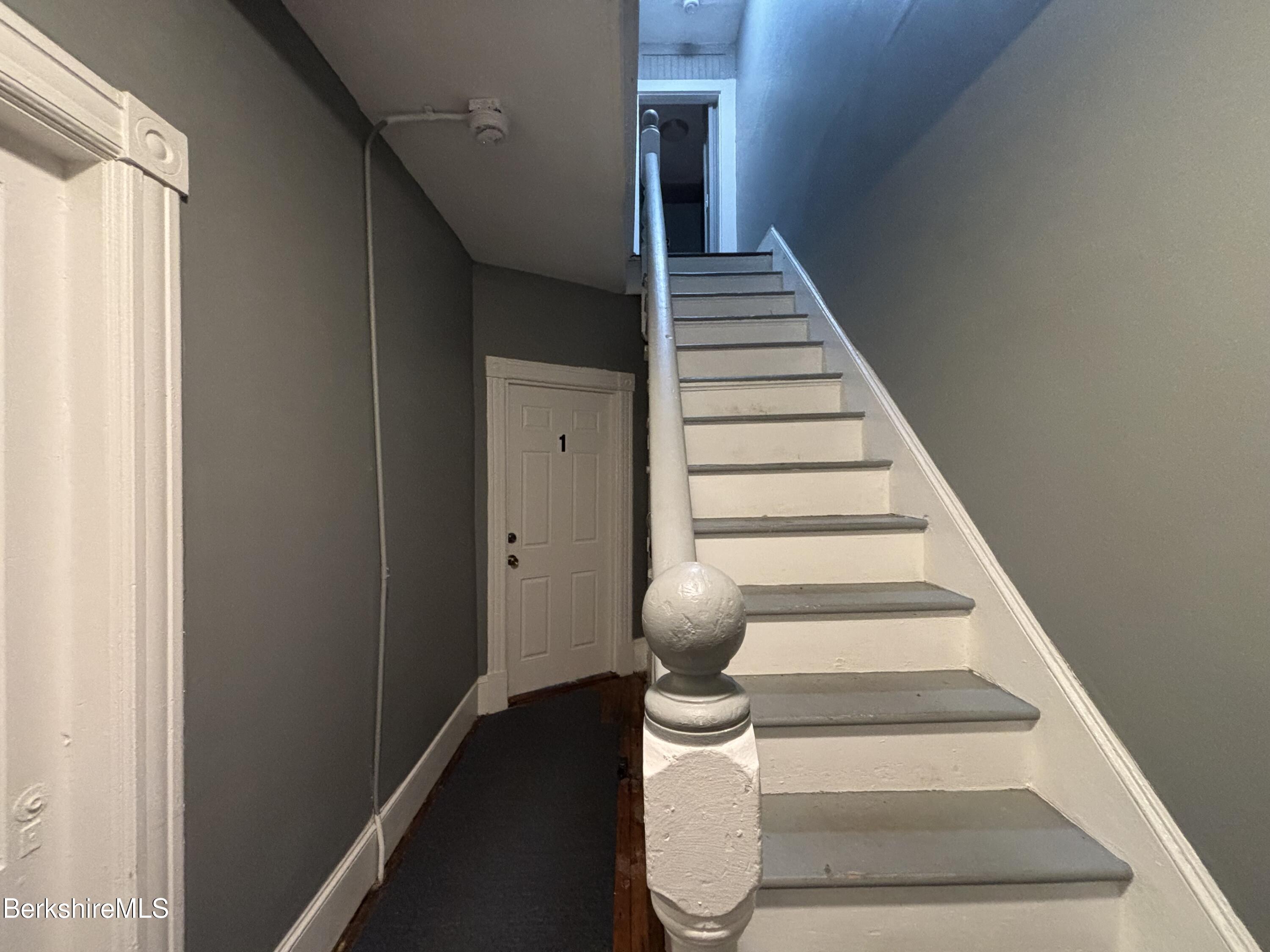 51 Orchard St