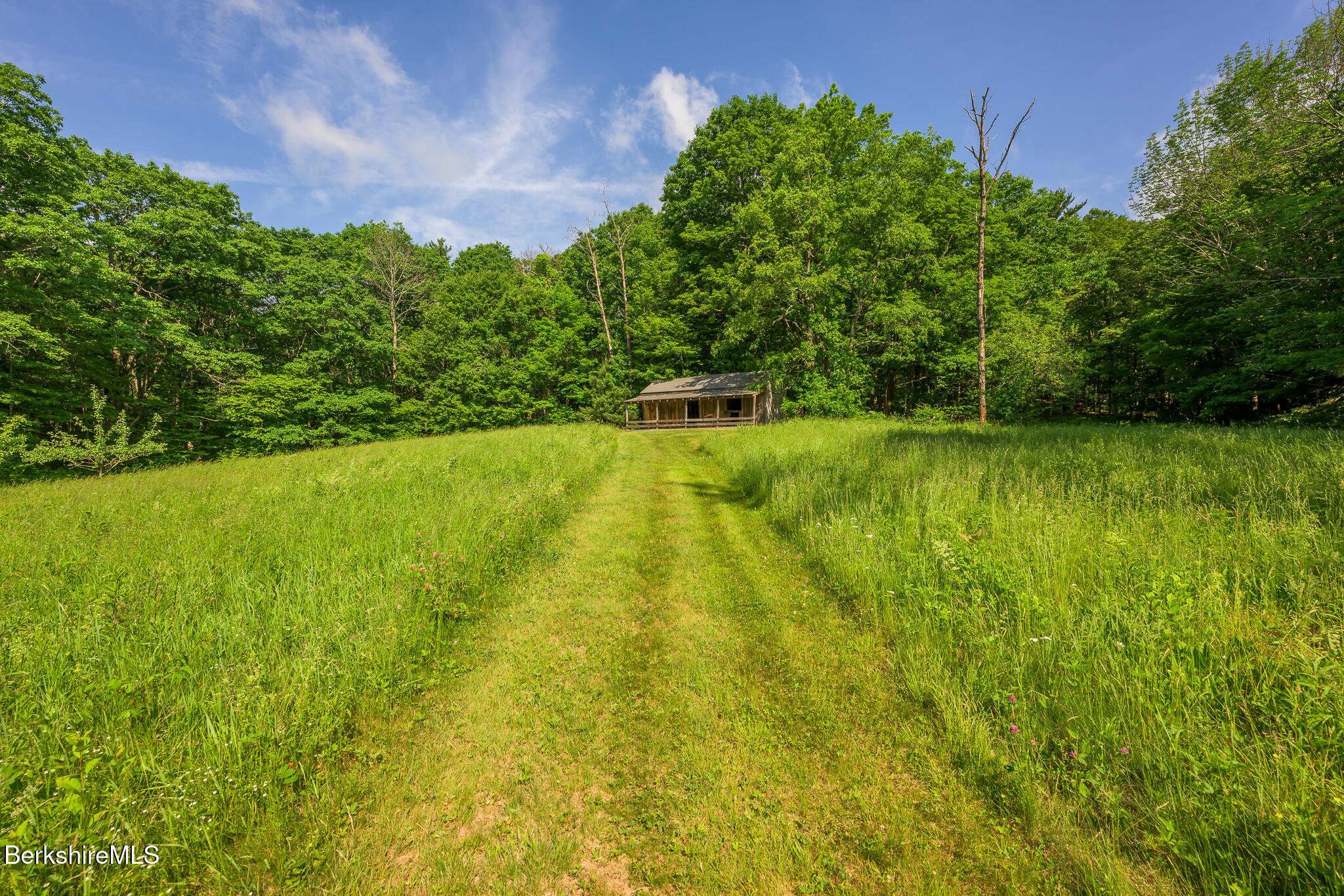 161 Beartown Mountain Rd