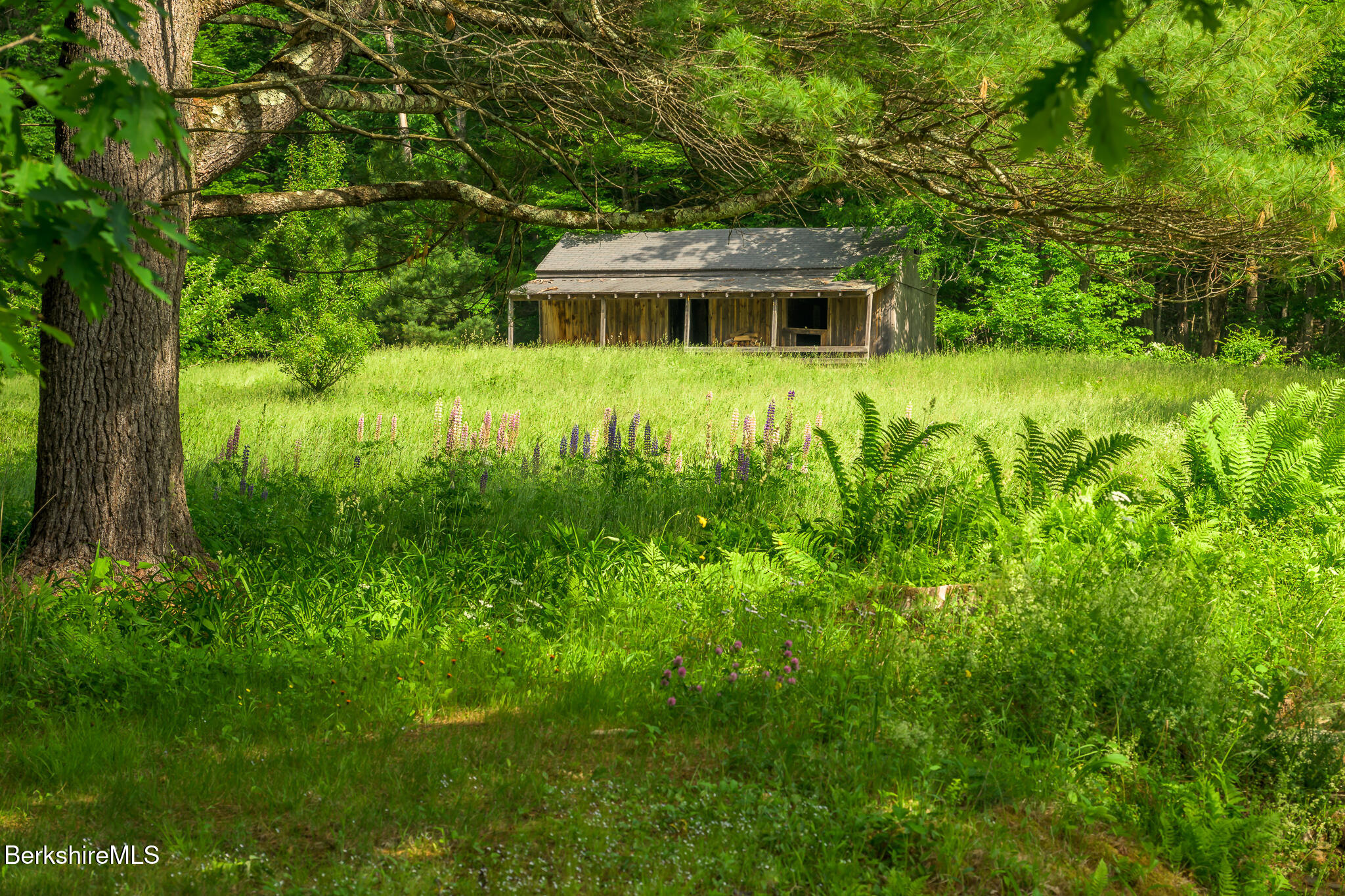 161 Beartown Mountain Rd