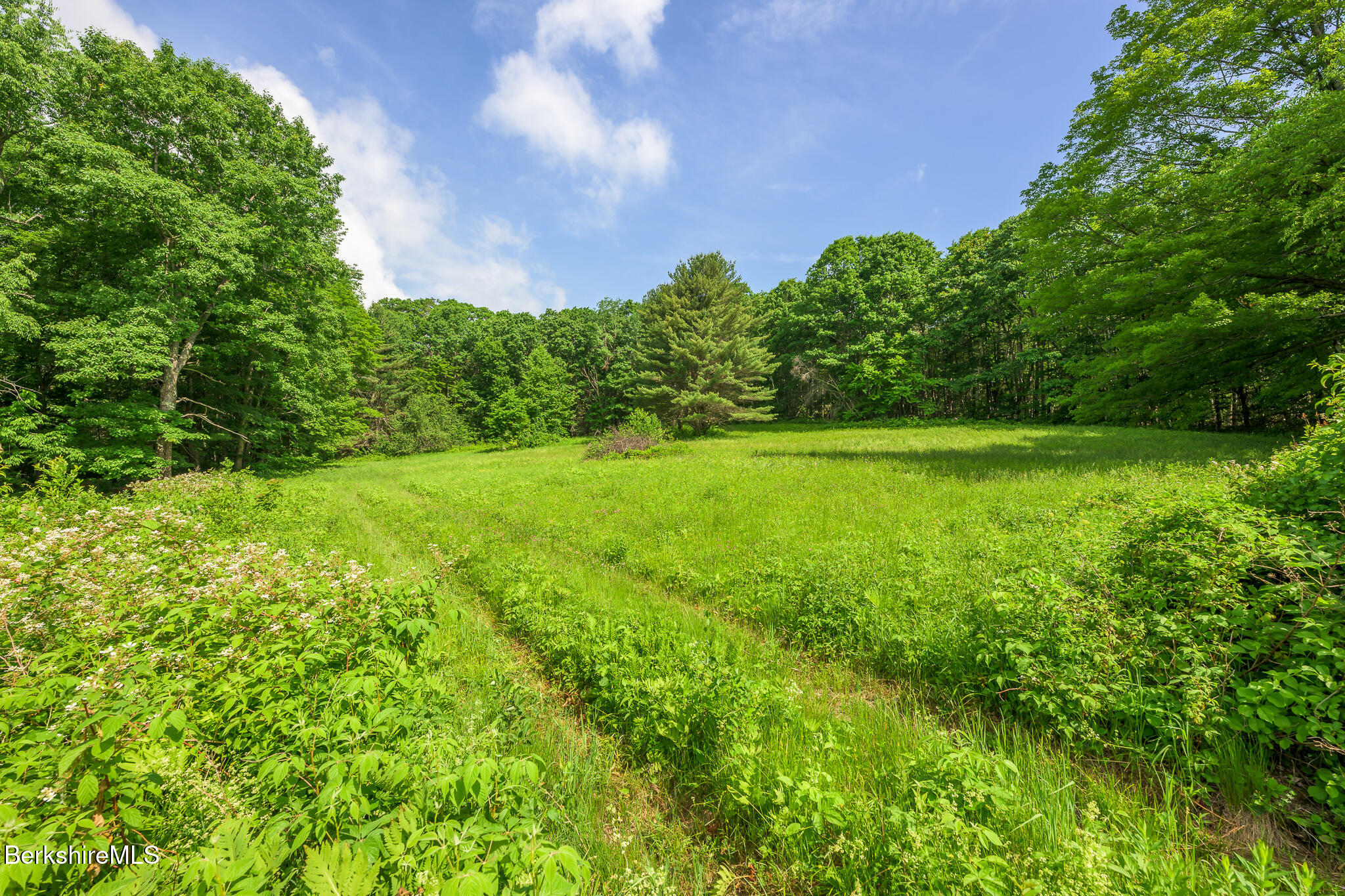 161 Beartown Mountain Rd