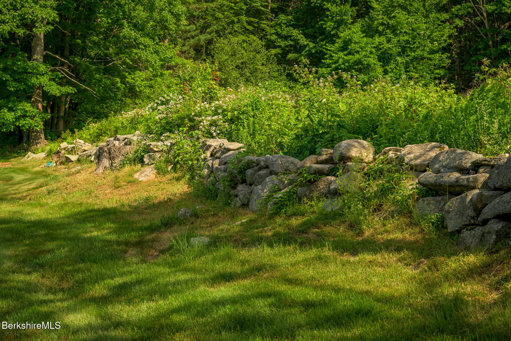 161 Beartown Mountain Rd