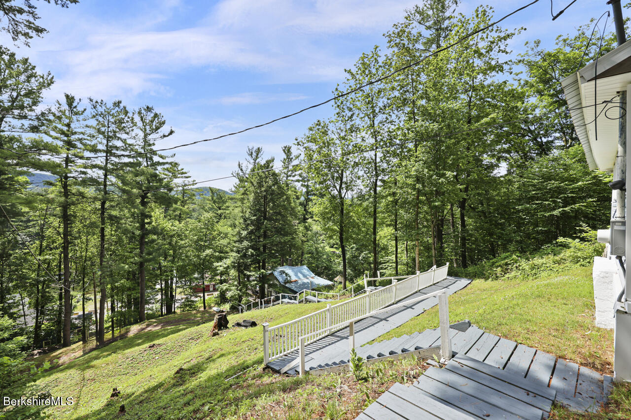 Pine Tree Ln