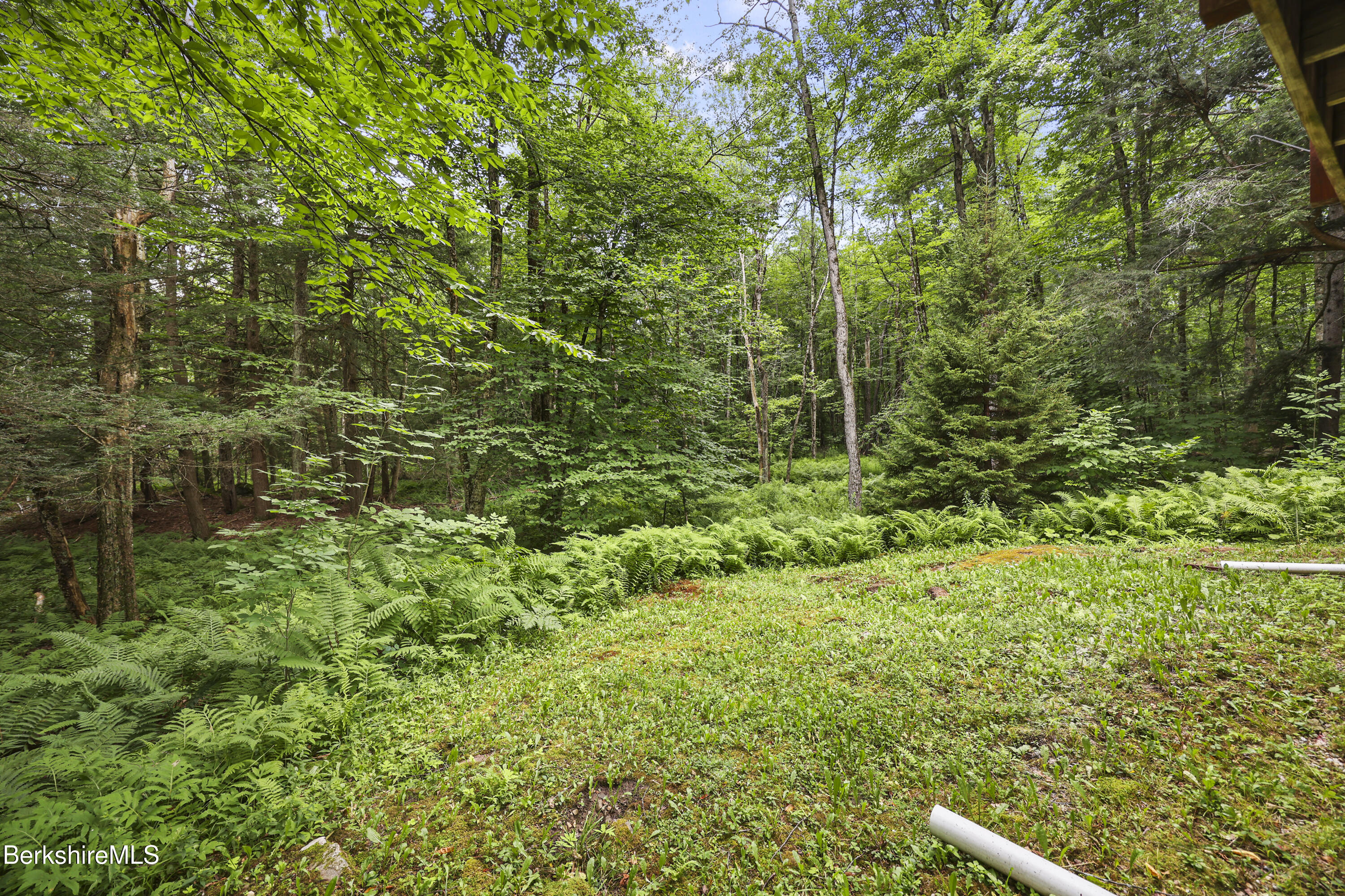83 Beech Tree Ln