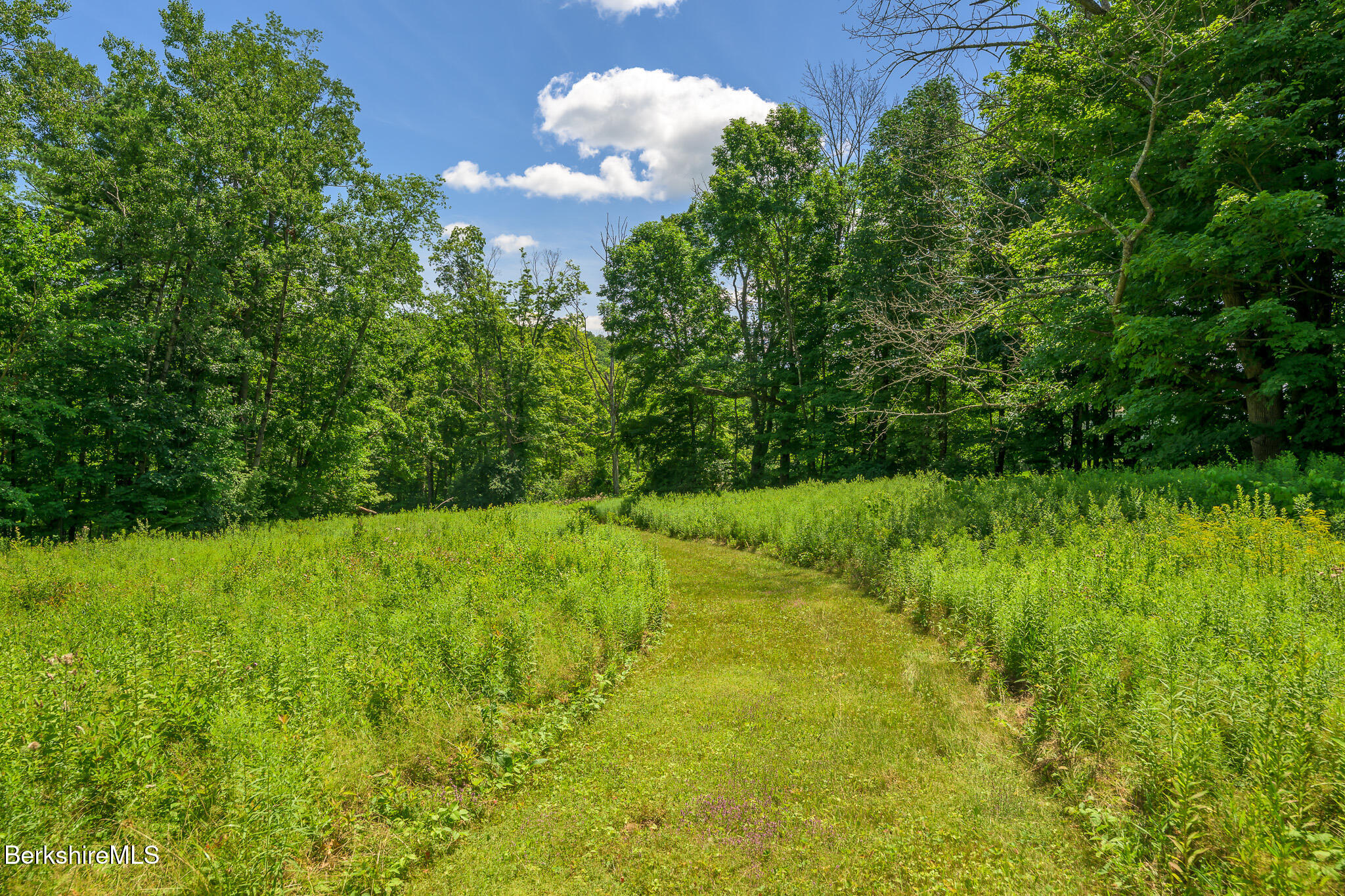158 Bristol Rd