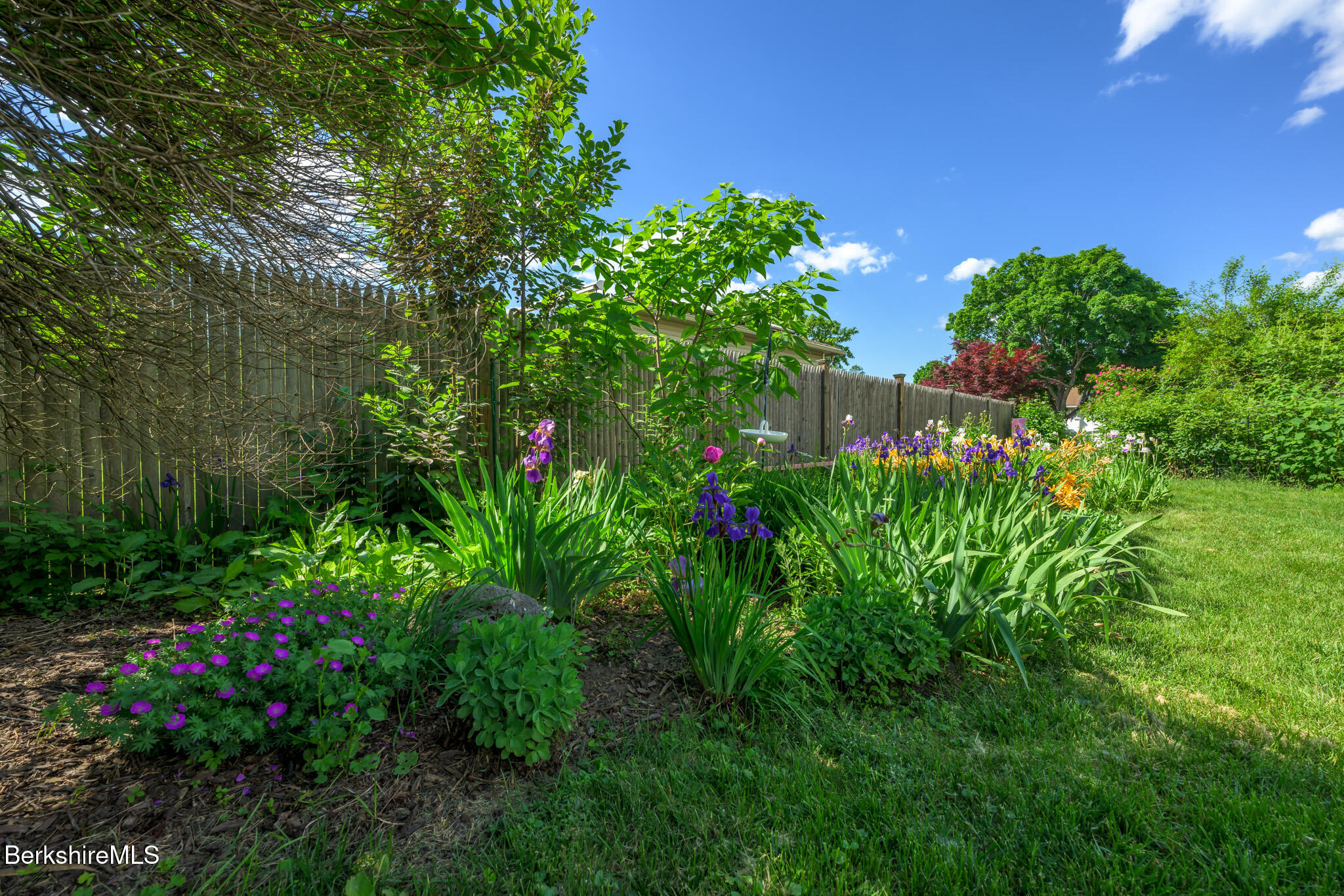 117 Lucia Dr