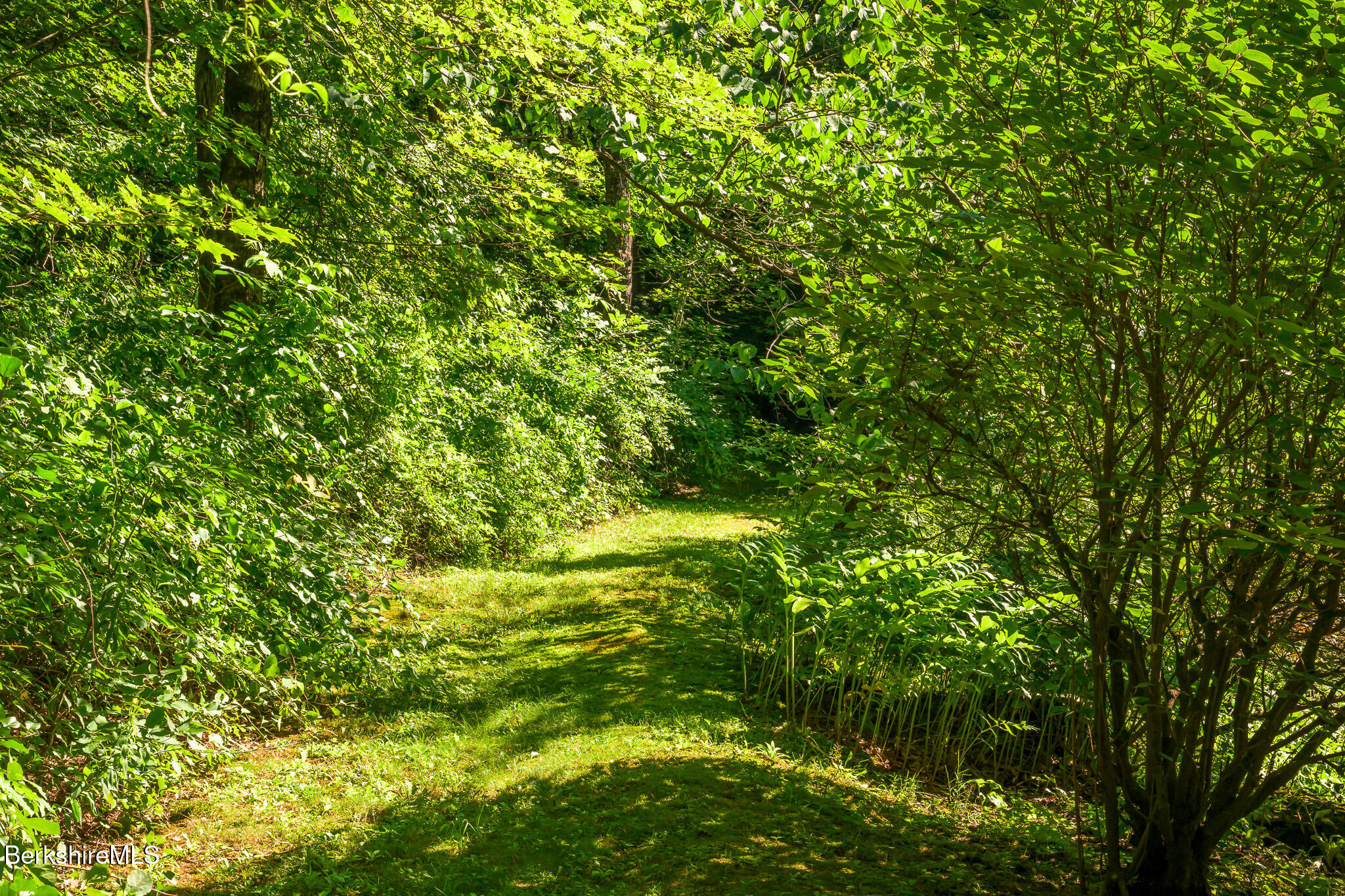 336 Stevens Glen Rd