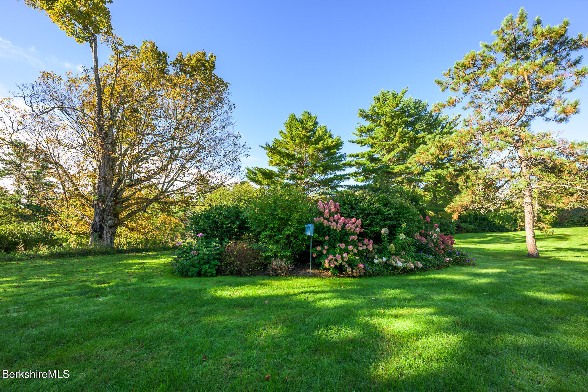 19 Hawthorne Rd 1C
