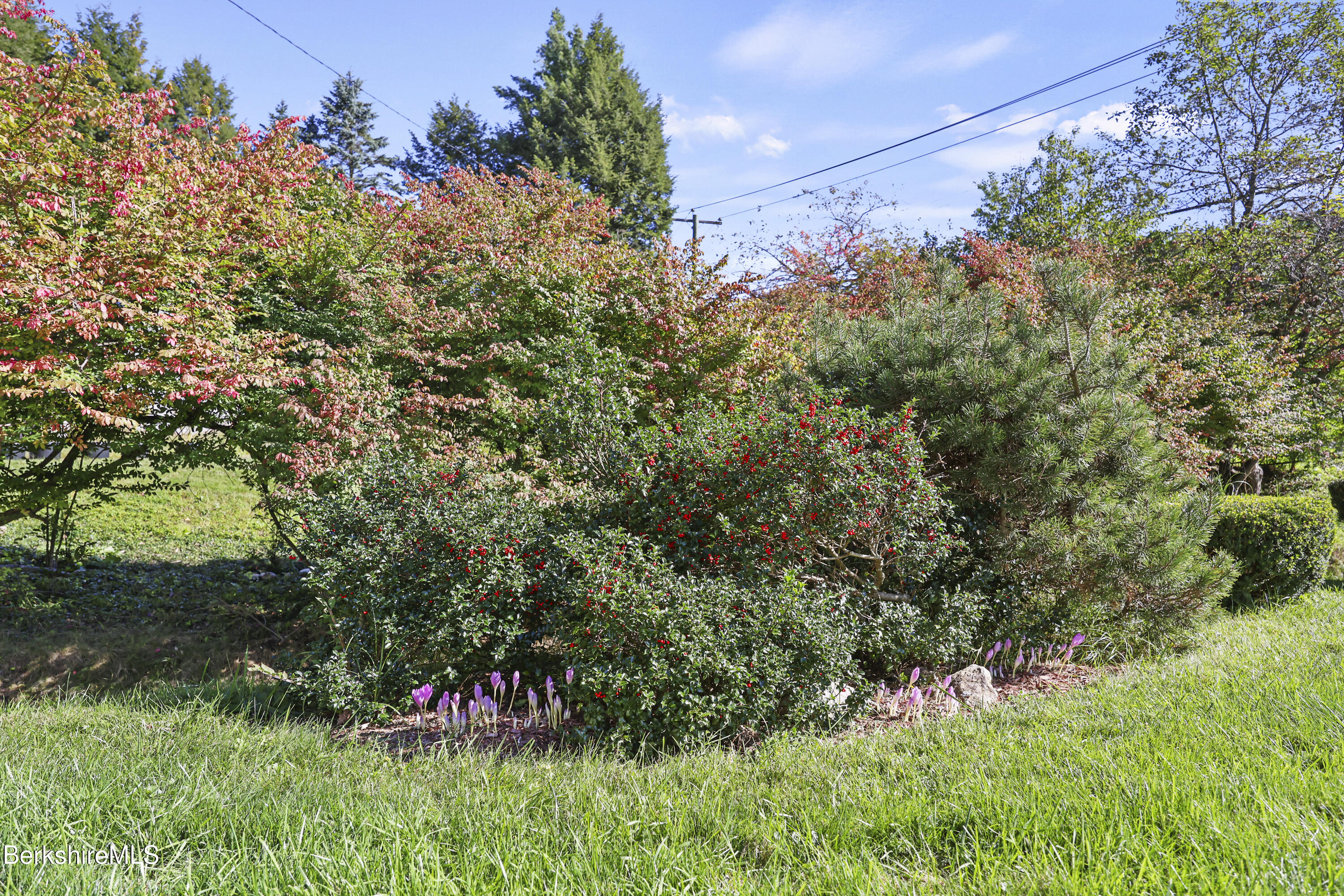 341 Cheshire Rd