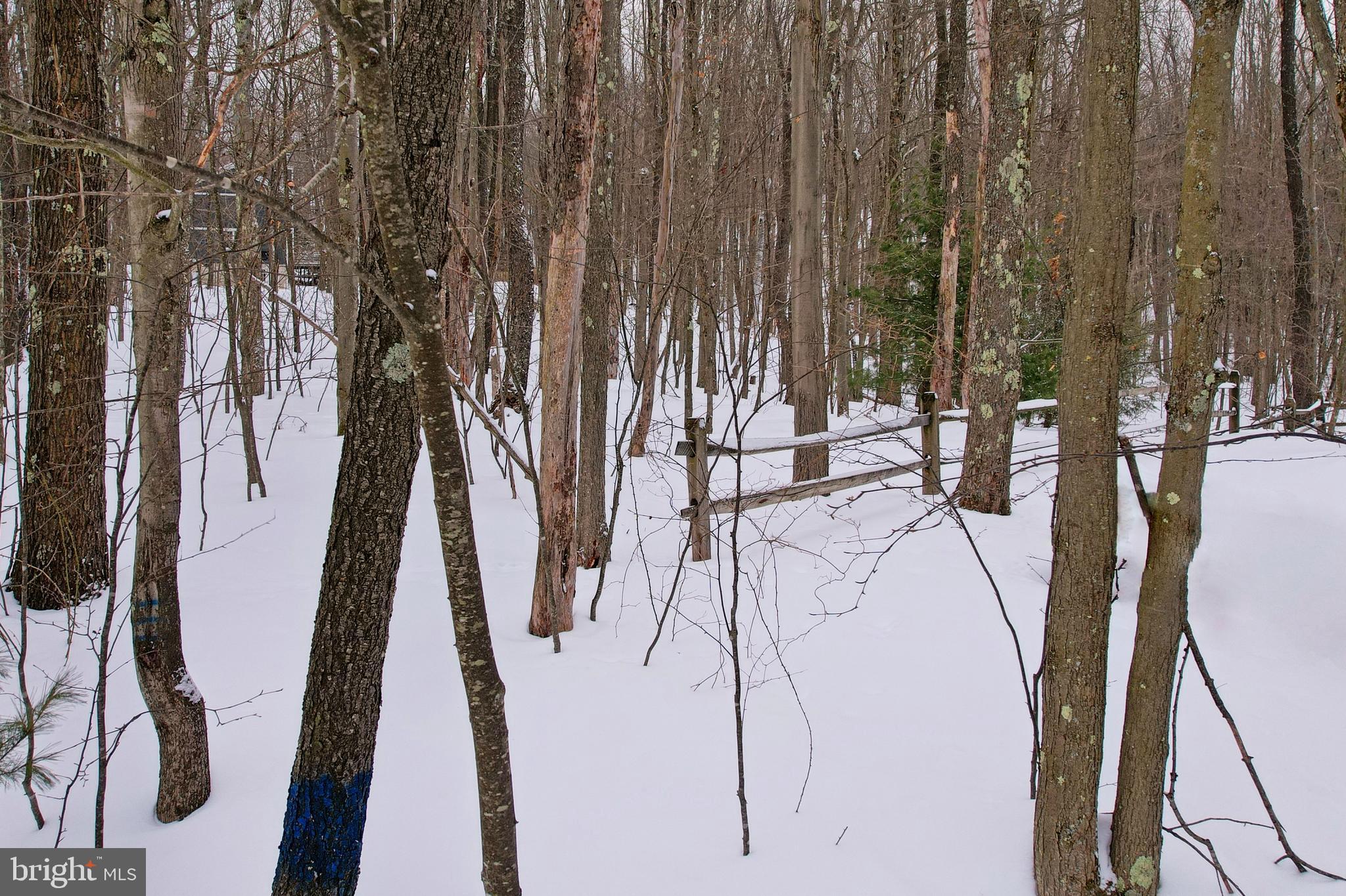 33 TEABERRY RIDGE ROAD