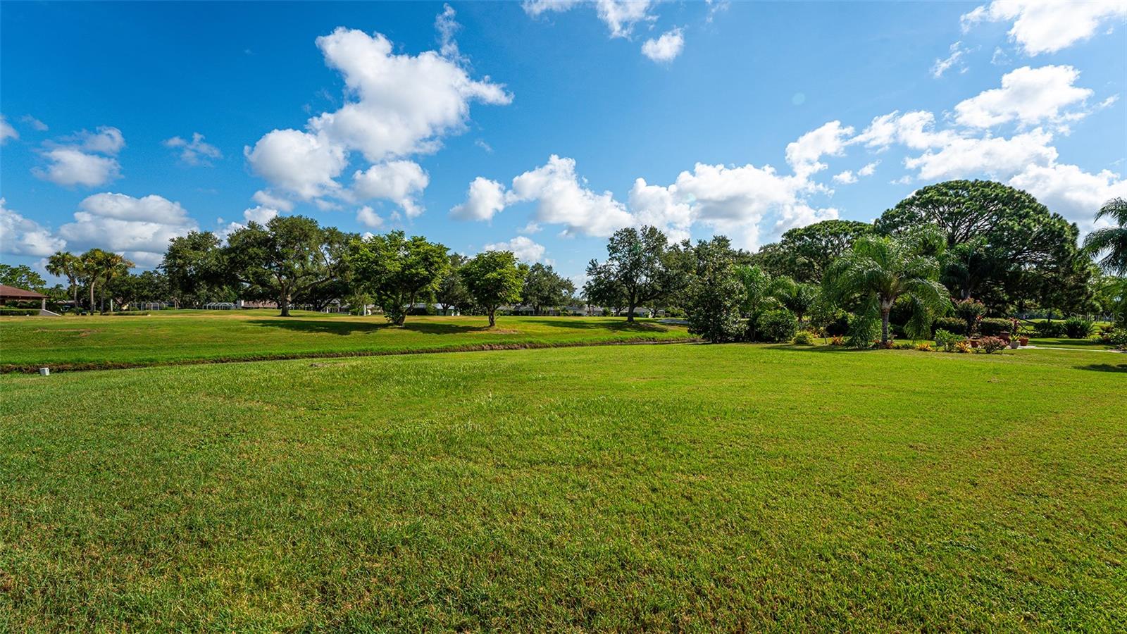 5209 PALM AIRE DR