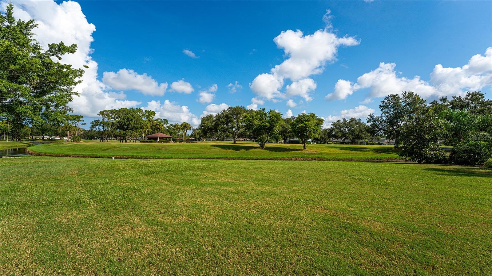5209 PALM AIRE DR