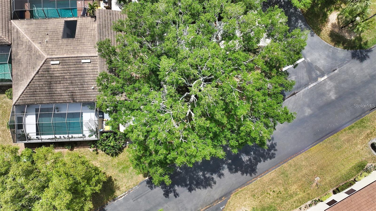 3842 GLEN OAKS MANOR DR