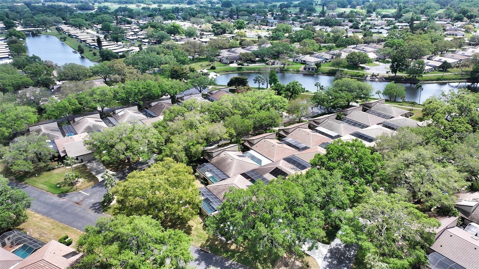 3842 GLEN OAKS MANOR DR