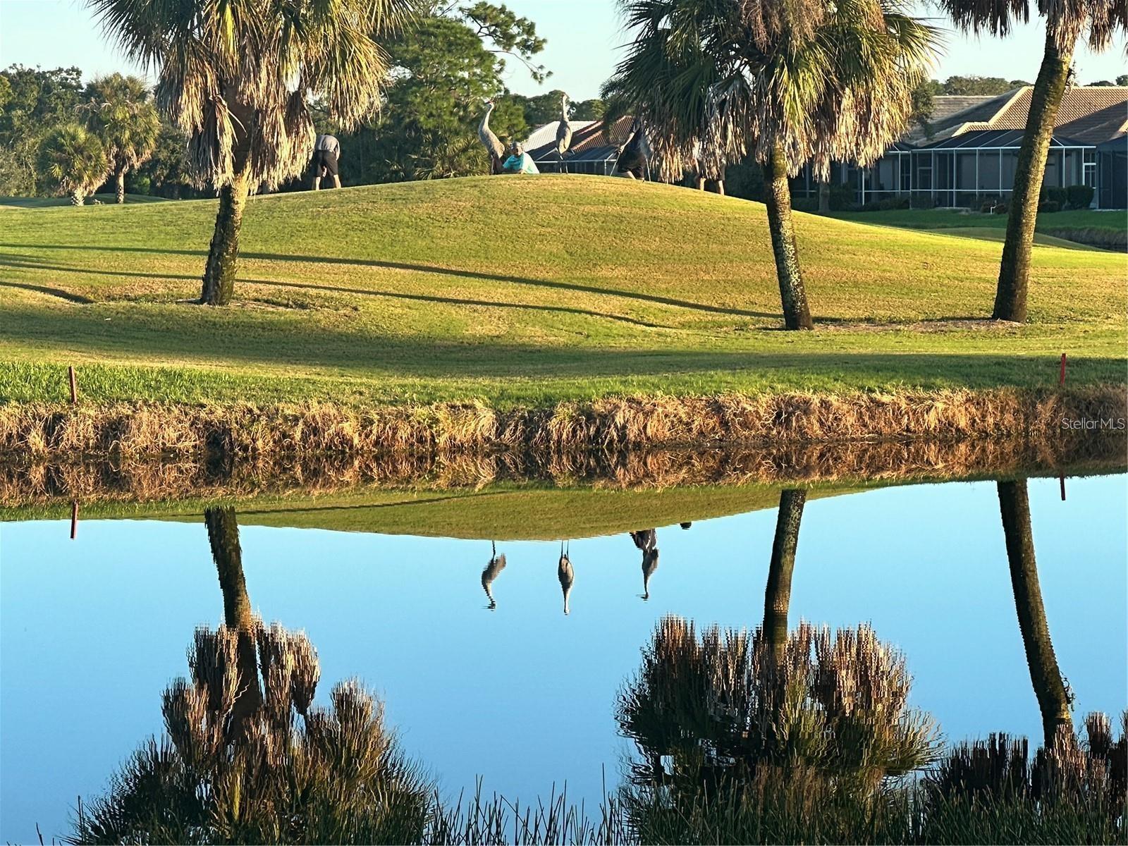 651 BACK NINE DR