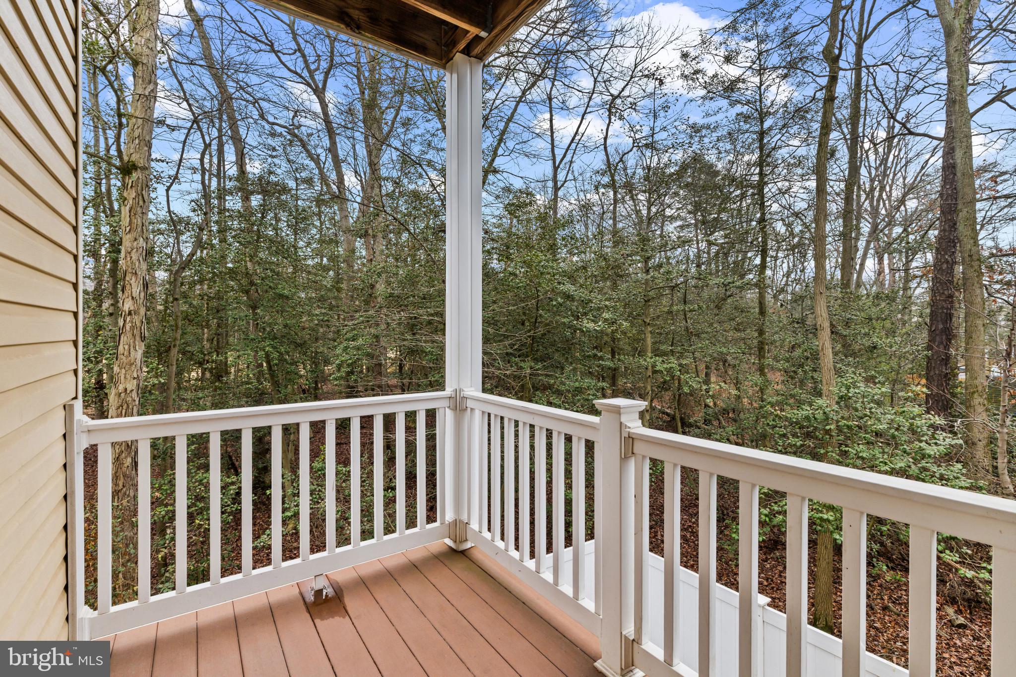 7544 STONEHOUSE RUN DRIVE