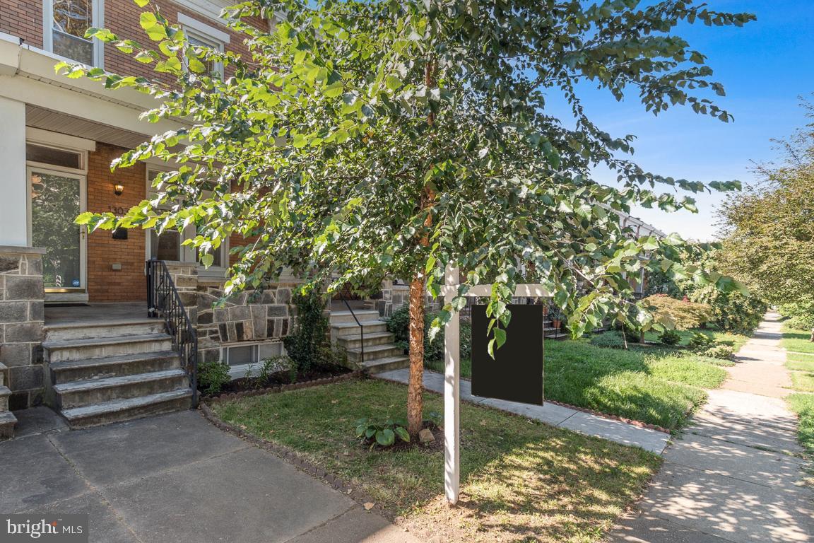 1303 W 41st Street W