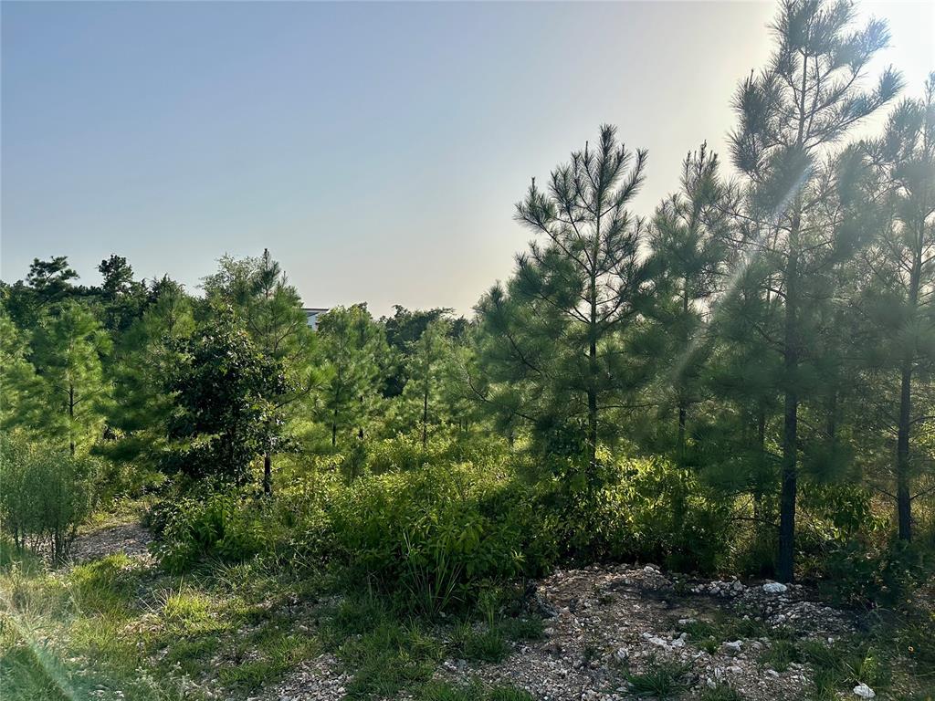 136 Southern Spruce Trail