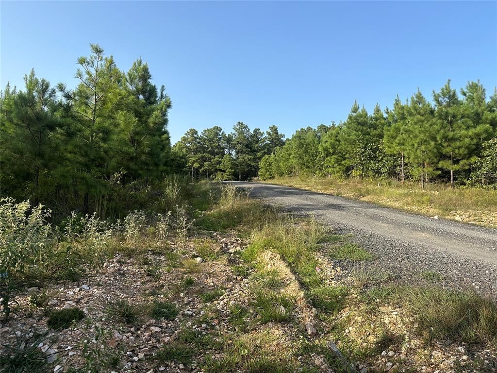 136 Southern Spruce Trail