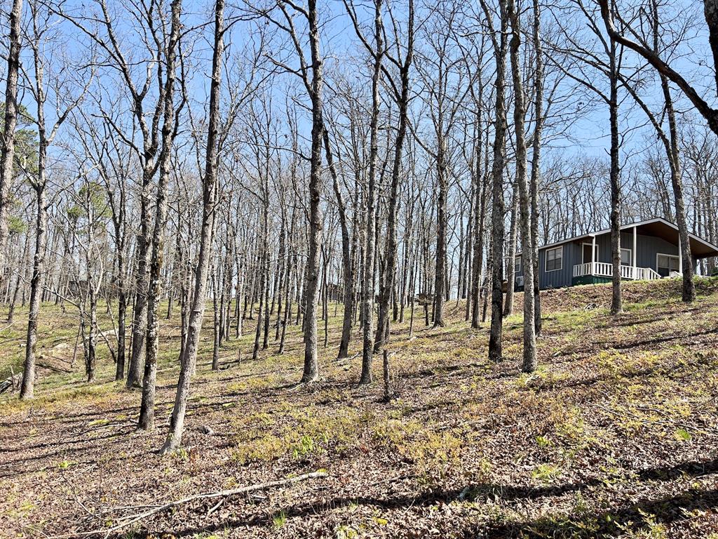 63991 Hawk Lane