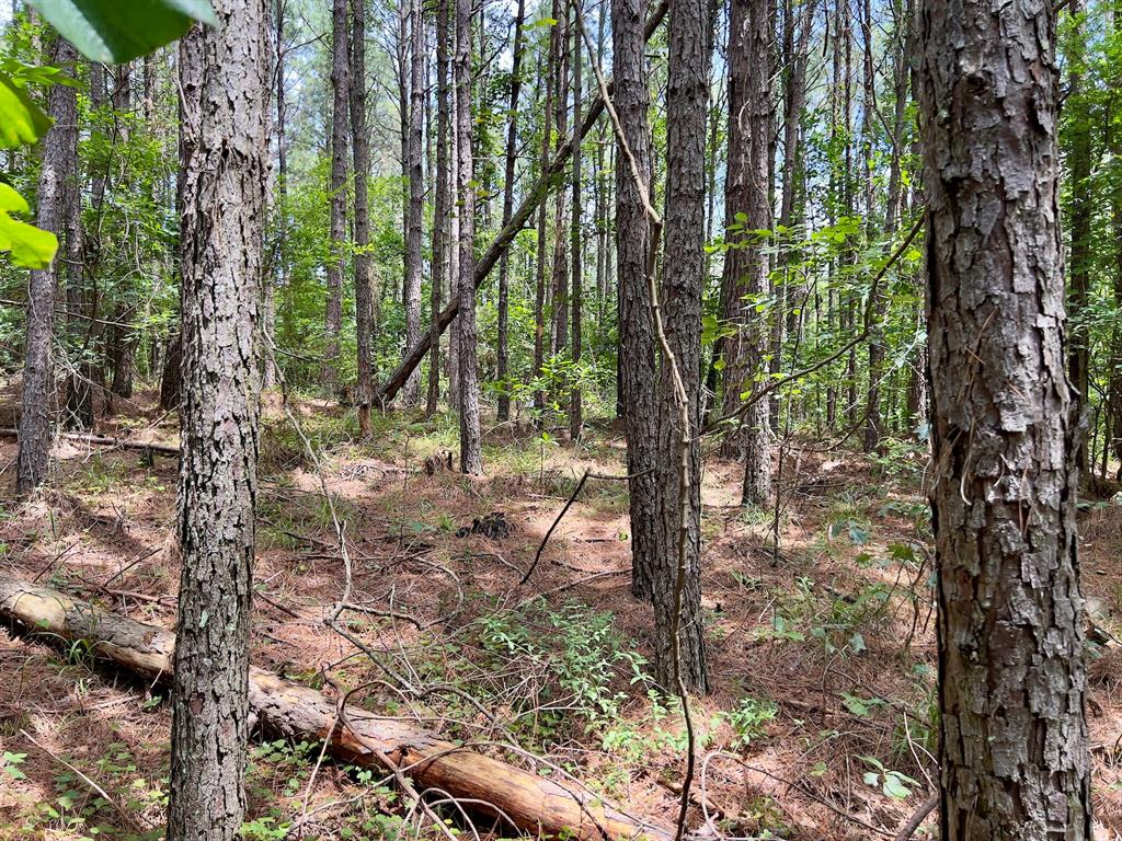 40 Trout Creek Road