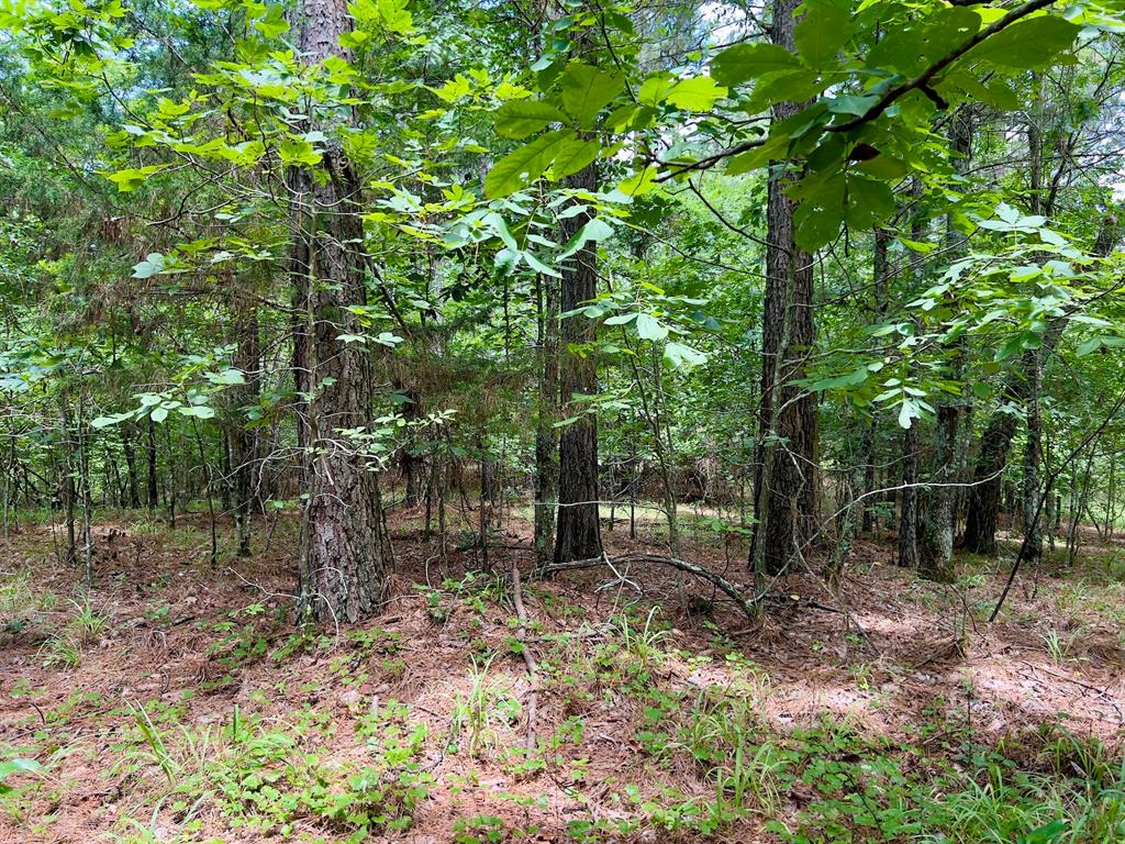 40 Trout Creek Road