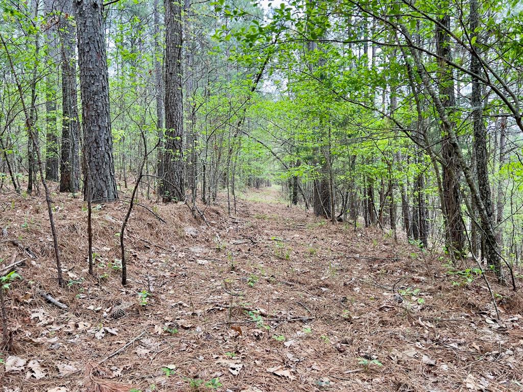 40 Trout Creek Road