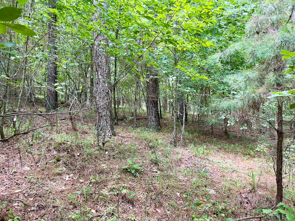 40 Trout Creek Road