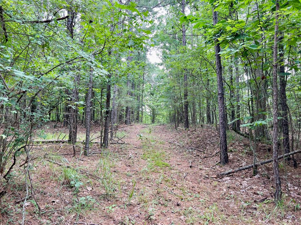 40 Trout Creek Road