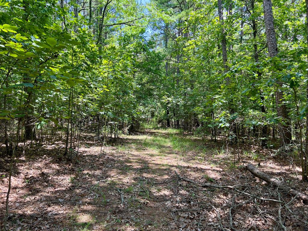 40 Trout Creek Road