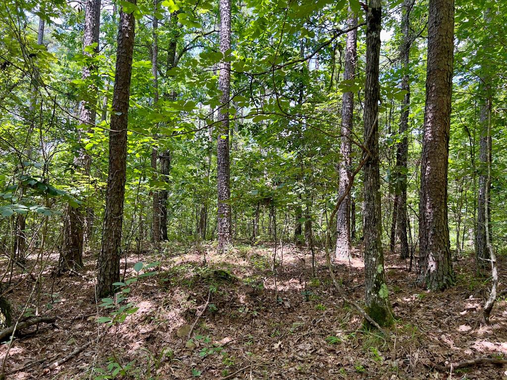 40 Trout Creek Road