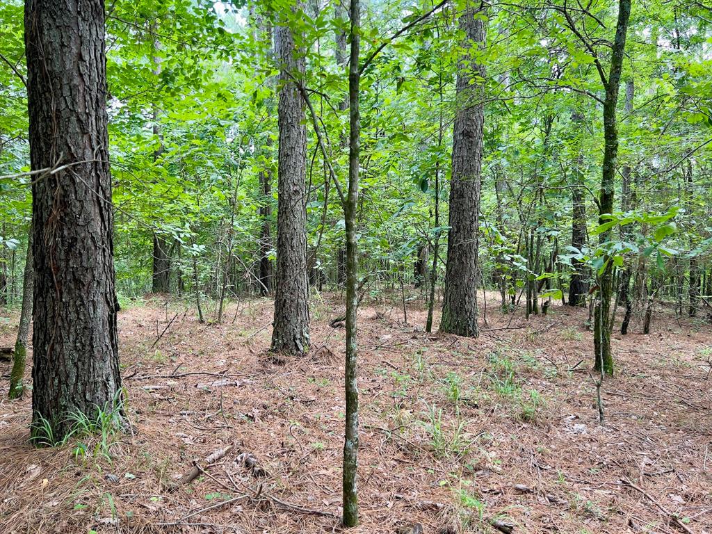 40 Trout Creek Road