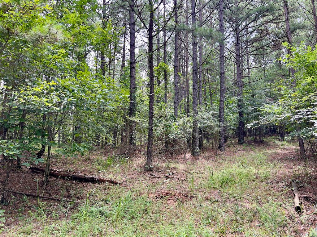 40 Trout Creek Road