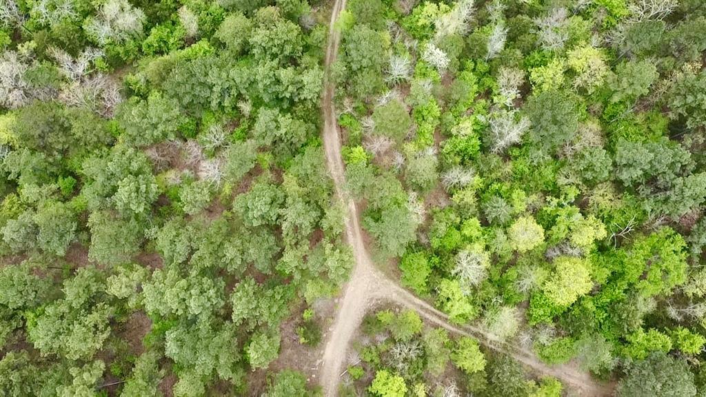 40 Trout Creek Road