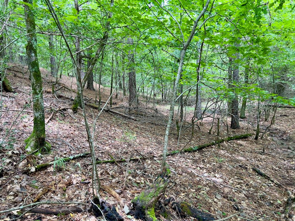 40 Trout Creek Road