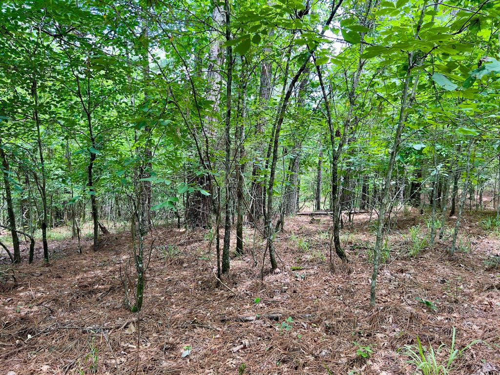 40 Trout Creek Road