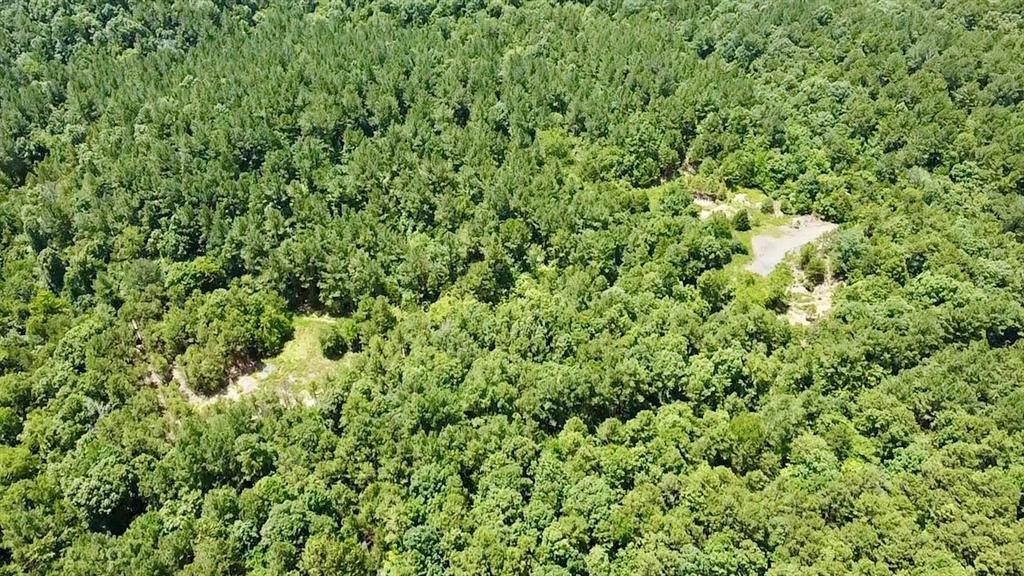 40 Trout Creek Road