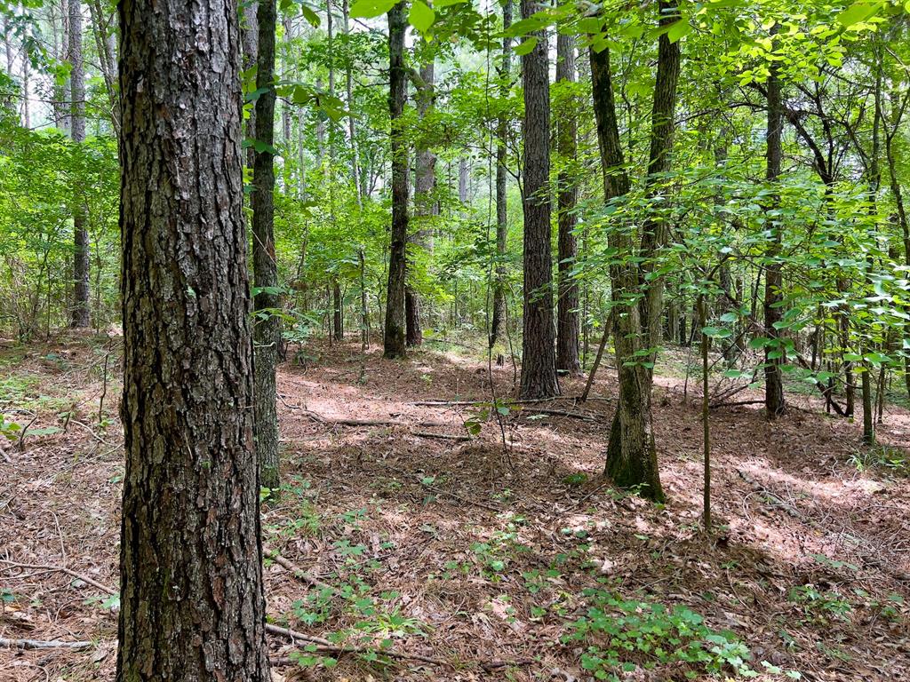 60 Trout Creek Road