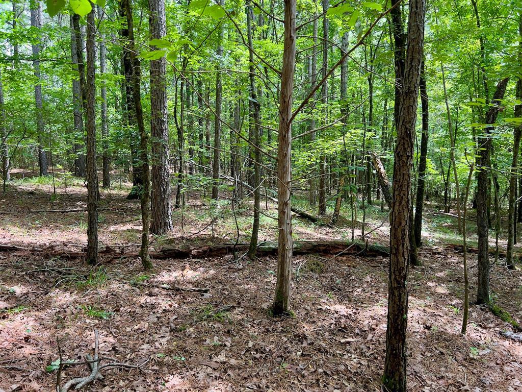60 Trout Creek Road