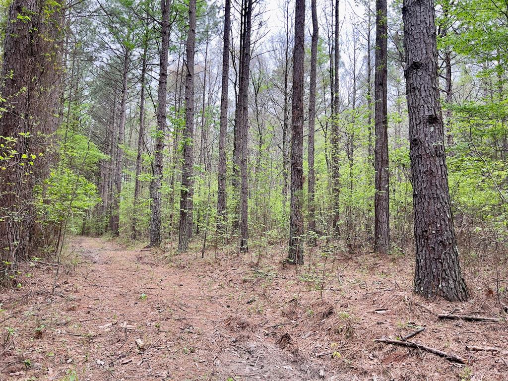 60 Trout Creek Road