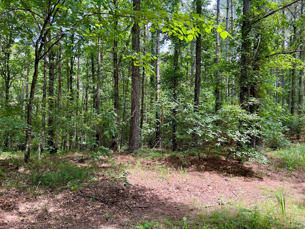 60 Trout Creek Road