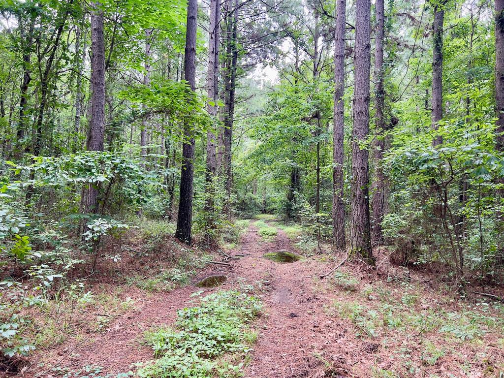 60 Trout Creek Road