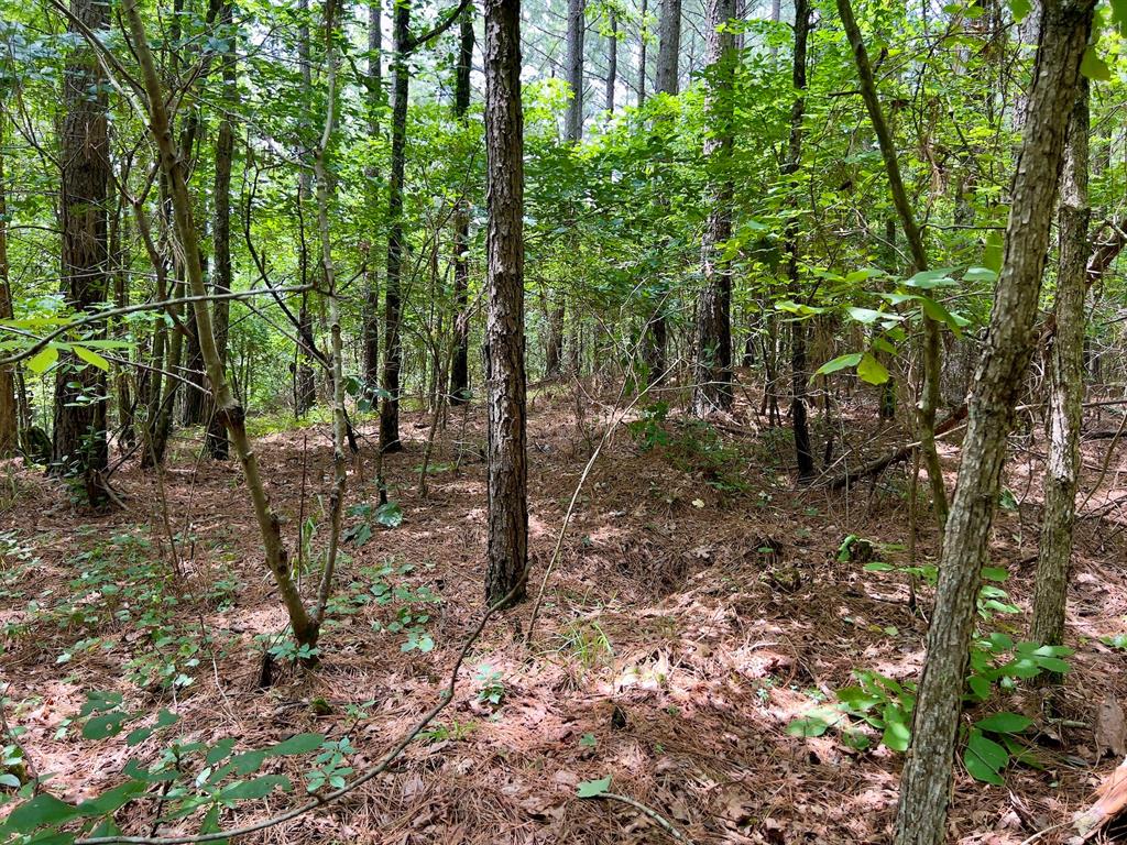 60 Trout Creek Road