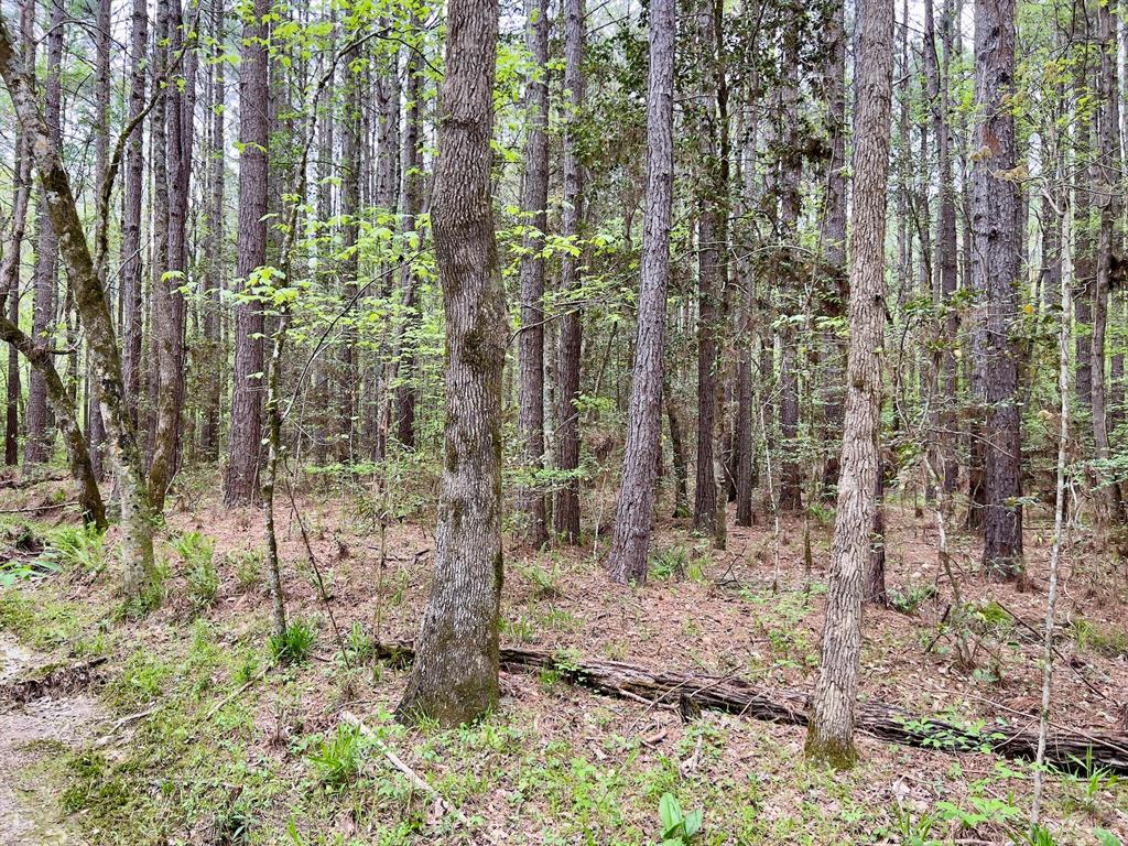 60 Trout Creek Road