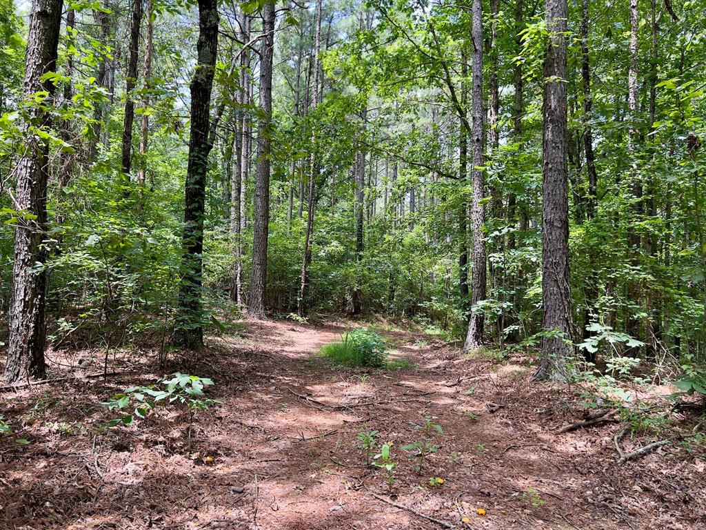 60 Trout Creek Road