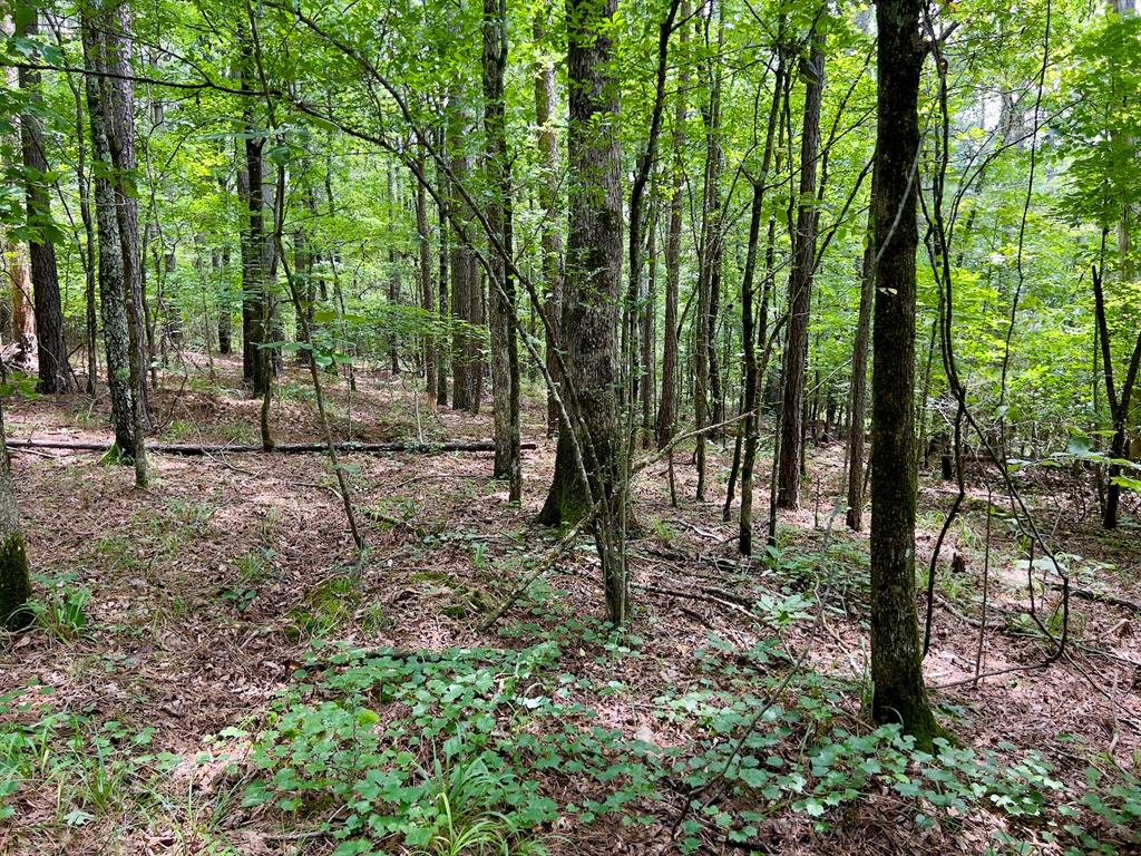 60 Trout Creek Road