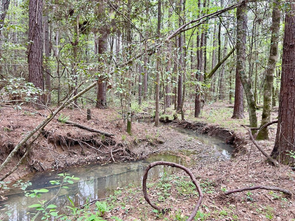 60 Trout Creek Road